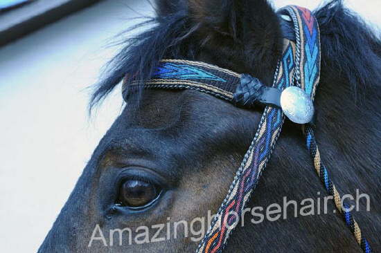 detail-hitched-bridle