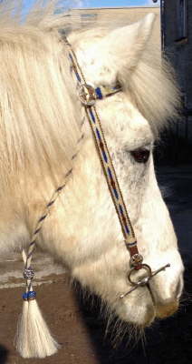 hitched_bridle_white_blue_b